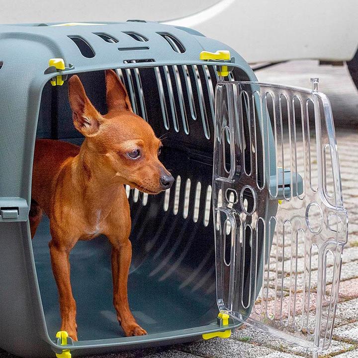 Immagine prodotto Ferplast 2 Dispositivo di trasporto per animali Pet transport box (Gatto, Animaletto, Cane, Pieghevole)