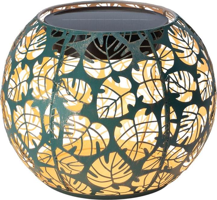 Image du produit STT Monstera