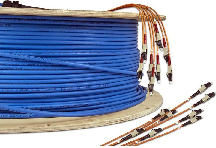 Actual product image Wirewin Fibre optic installation cable 12xLC-LC, MM, OM4, 80m (80 m)