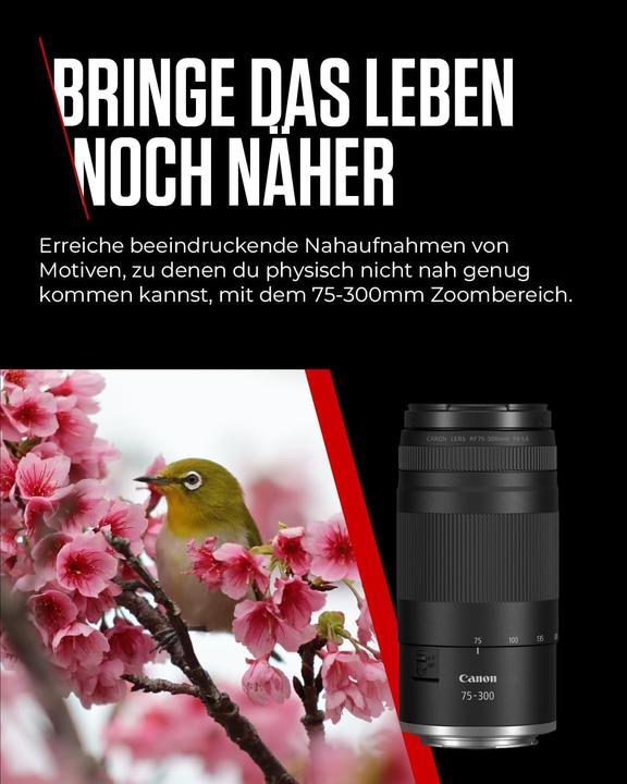 Immagine prodotto Canon RF 75-300mm F4-5.6 (Canon RF, Full frame, APS-C / DX)