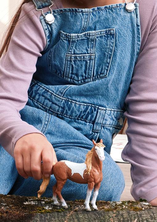 Image du produit Schleich KWPN Wallach