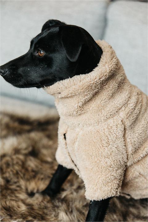 Produktbild Kentucky Dogwear Hunde Pullover Teddy Fleece (XL, Hundepullover)