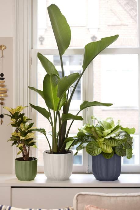 Actual product image Elho Blumentopf Vibes Fold Rund 30 cm Schwarz (30 x 27 cm)