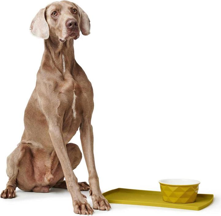 Actual product image Hunter Ceramic bowl Eiby (0.35 l)