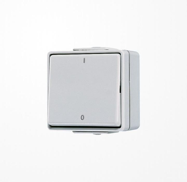 Actual product image Jung Polykontakt Rocker switch surface-mounted, with marking I 0, Off 2-pole, grey