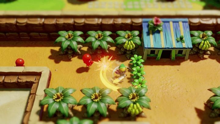 Actual product image Nintendo The Legend of Zelda: Link's Awakening (Switch, EN)