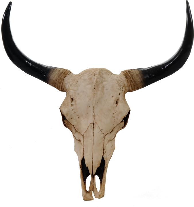 Image du produit Jamb Crâne (45 x 41 x 14 cm)