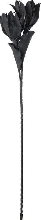 Actual product image EGLO LIVING Molave (90 cm)