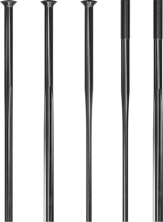 Actual product image DT Swiss Revolite Straightpull