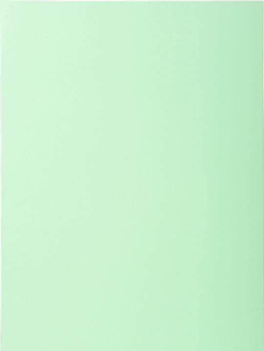 Actual product image Exacompta Collection folders - File covers (A4, 40 x)