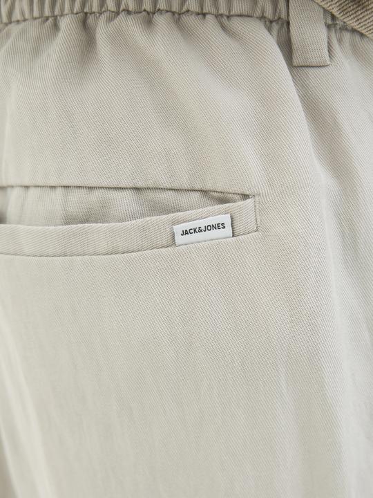 Actual product image Jack & Jones Jpstkarl Skye Jogger Sn (XS)