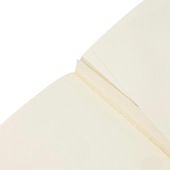 Actual product image Paperblanks Notizheft A5 Feuervogel (A5, Plain, Soft cover)