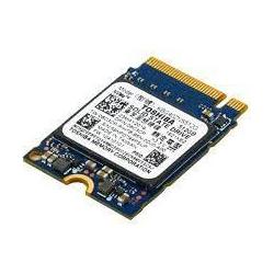 Lenovo Ssd Asm (512 GB, M.2 2242), SSD