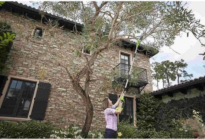 Actual product image Greenworks Cordless pole pruner G40PSF (without battery) (Battery chain saw)