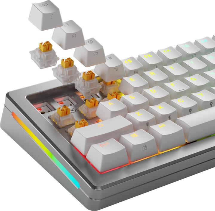 Image du produit Glorious HE Switches (36pcs) - Panda - Silent - (Tactile) 45g