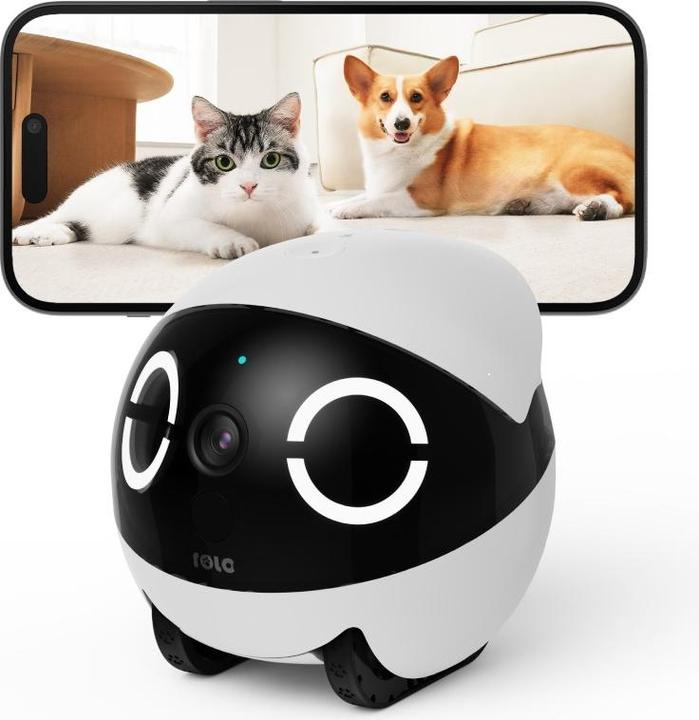 Productafbeelding Enabot Rola Mini Gezelschapsrobot (2304 x 1296 Pixels)