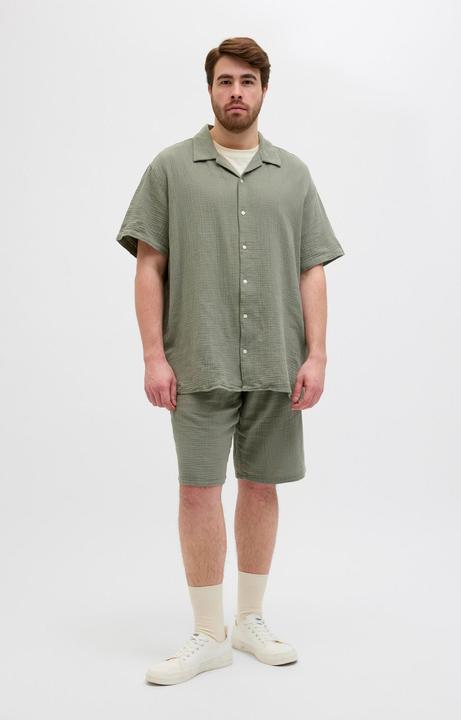 Image du produit Jack & Jones Plus Size Loose Fit Relaxed Fit Shorts Relaxed Fit Shorts (48)