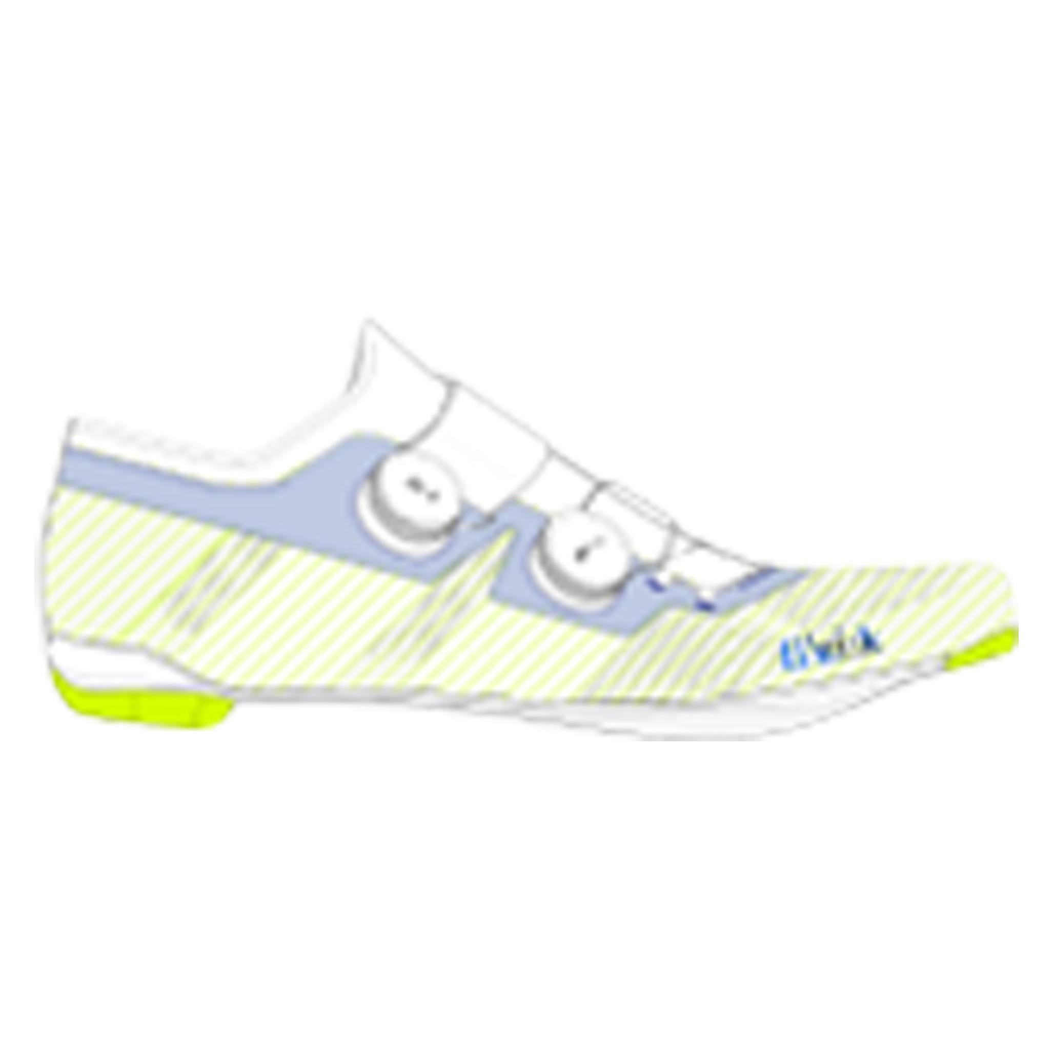 Fizik, Herren, Veloschuhe, Vega Carbon Shoes (46), Weiss