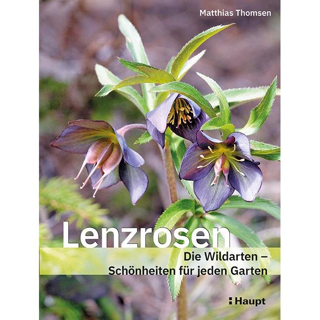 Lenzrosen, Fachbücher von Matthias Thomsen