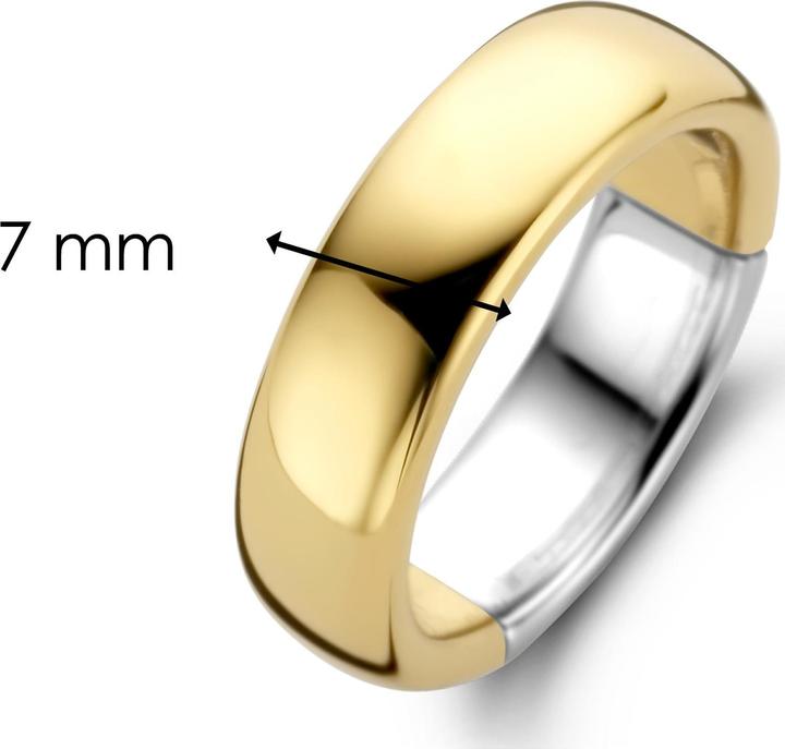 Immagine prodotto Ti Sento Milano Anello a fascia placcato oro 12235SY (56, 925 Argento)