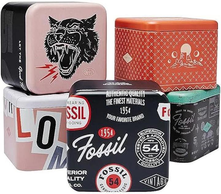 Image du produit Fossil Merrit Ohrringe (Acier inoxydable)