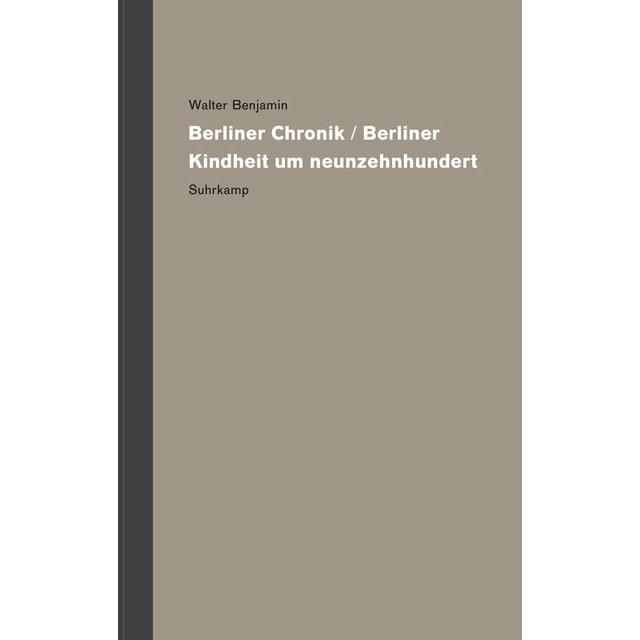 Werke und Nachlass. Kritische Gesamtausgabe, Fachbücher von Walter Benjamin