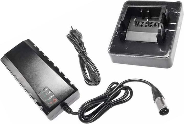 Immagine prodotto BMZ Schnell-Ladegerät für 26V Panasonic Deluxe e-bike Akku Flyer Deluxe (Caricabatterie per biciclette elettriche)