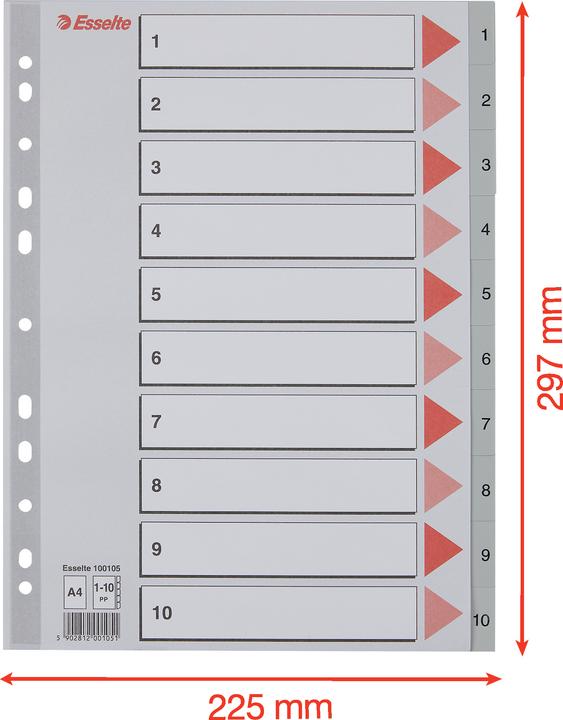 Esselte Plastic indice numbers