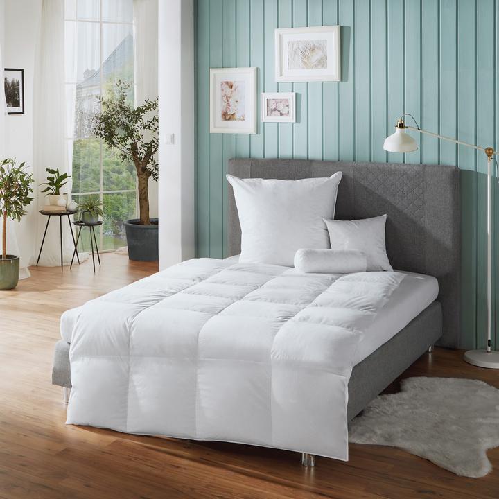 Immagine prodotto Erwin Müller Toronto (830 g, 200x200 cm)