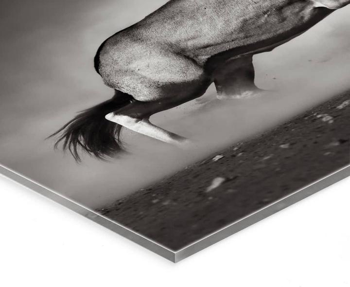 Image du produit Trenddeko Le Duel (200 x 130 cm)