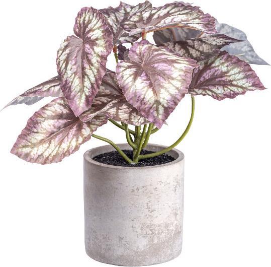 Gasper Kunstpflanze Rex Begonia 22cm