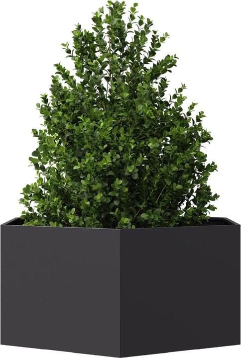 Produktbild vidaXL Pflanzkübel