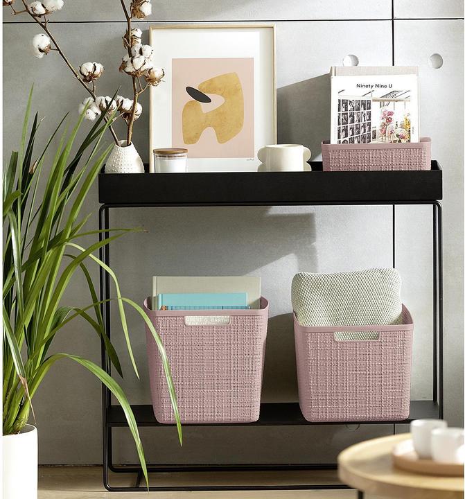 Actual product image Curver Storage box (28.20 cm, 12 l, 6x)