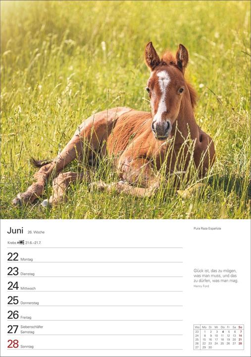 Produktbild Harenberg Pferde Wochenplaner 2026 - 53 faszinierende Fotografien