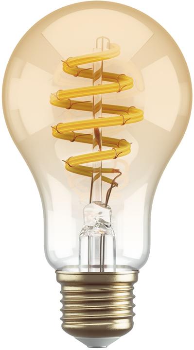 Hombli Filament Bulb CCT A60 (E27, 5.50 W, 300 lm, 1 x, G)
