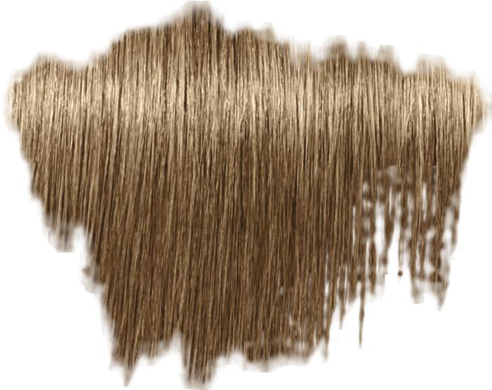 Image du produit Schwarzkopf true beautiful honest - 8-06N blond clair naturel chocolat (Blond, Marron)