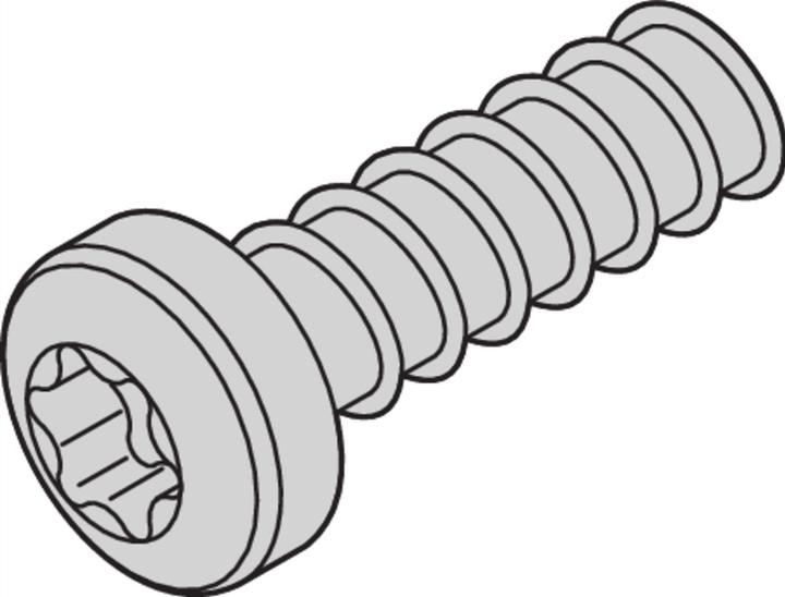 Image du produit Schroff vis à tête bombée avec torx - likoschr-torx.2.5x9.3 100pc
