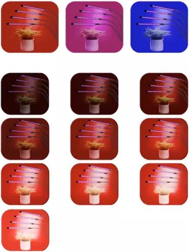 Image du produit Gardlov 20 LED (LED)