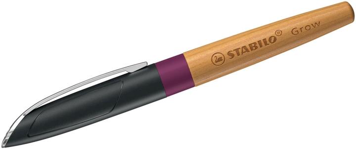 Actual product image STABILO Fountain pen Grow (Cherry, Plum, 1x)