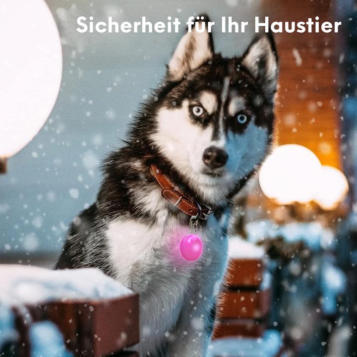 Produktbild Suba 6 Stück LED Blinklicht für Hundesicherheit (Hund)