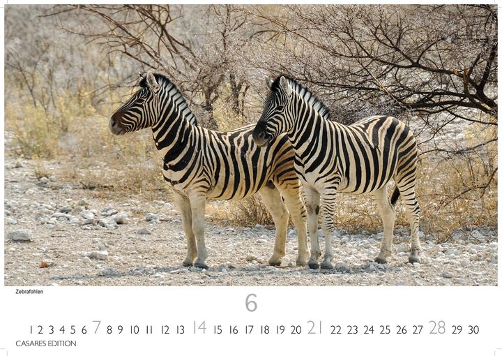 Produktbild Namibia 2026 L 35x50cm