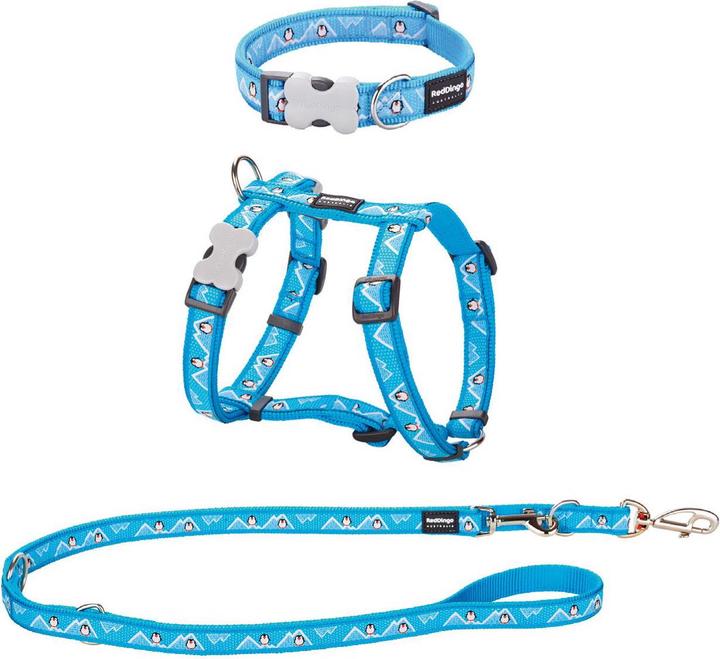 Actual product image Red Dingo RD Puppy Kit 12mm Penguise Turquoi XS (XS, Dog, Dog sport)