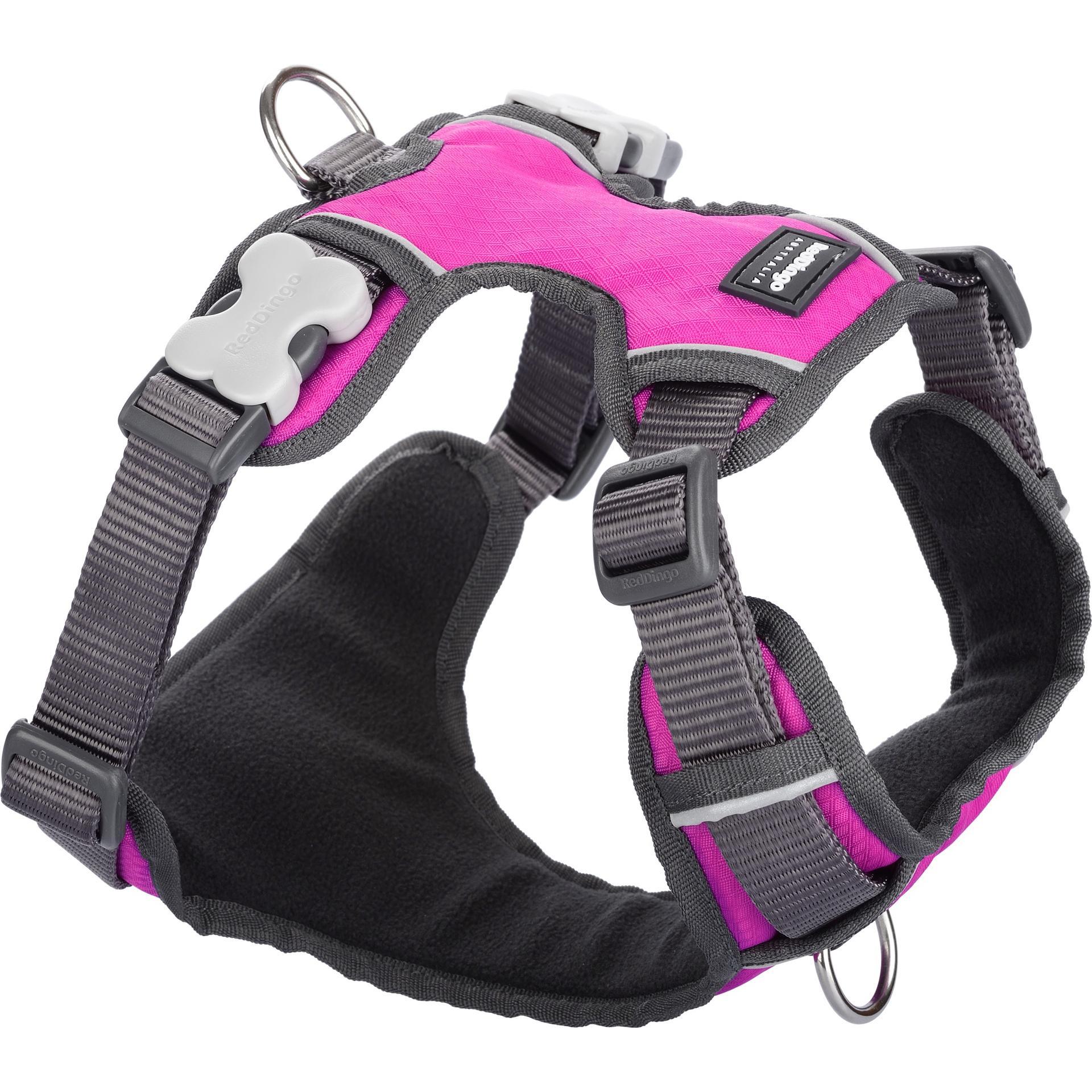Red Dingo Padded Harness Hot Pink L (L, Hund, Allgemein), Halsband + Leine