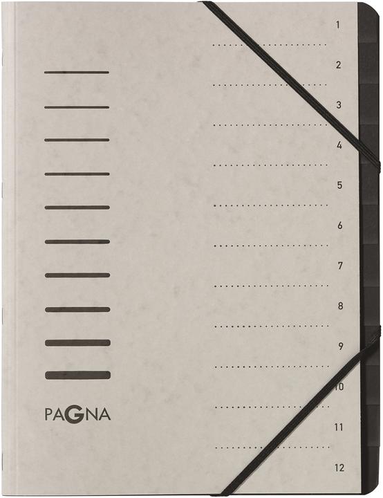 Actual product image Pagna Folder (A4, 1 x)