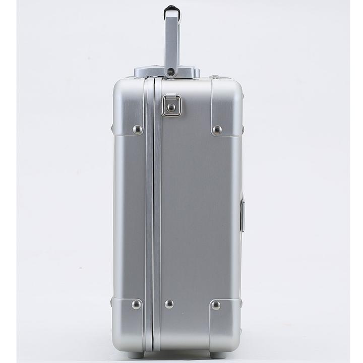 Actual product image Aleon Diversity Beauty Case 10"