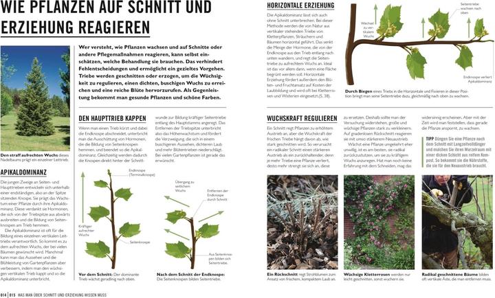 Produktbild Grünes Gartenwissen. Pflanzen richtig schneiden (Deutsch, Reinhard Ferstl, Stephanie Mahon, 2022)