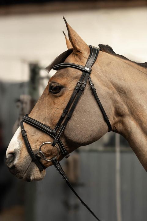 Produktbild HFI Master Pro Line Milano