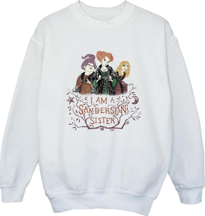 Produktbild Disney Hocus Pocus Sanderson Sister Sweatshirt Jungen (104)