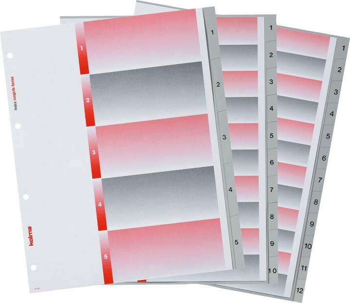 Actual product image Kolma Index A4 XL superstrong 1-31 31-piece grey