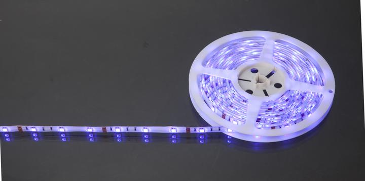 Actual product image Globo LED Band Led Band (5 m)